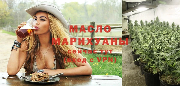 индика Сосновый Бор