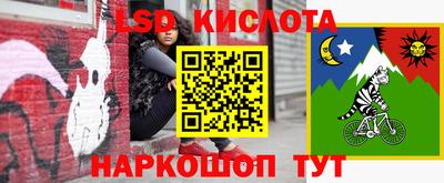 гидра Заволжье