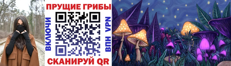 Псилоцибиновые грибы GOLDEN TEACHER  Северобайкальск 