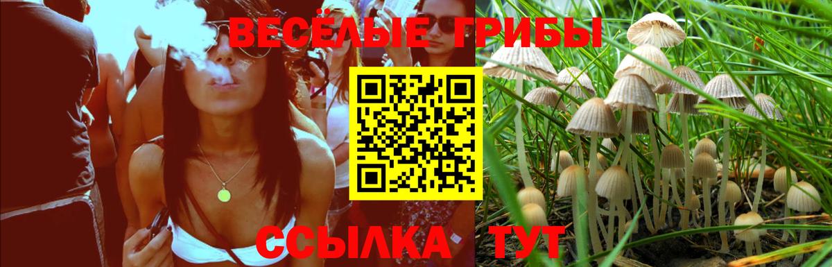 Псилоцибиновые грибы ЛСД Северобайкальск