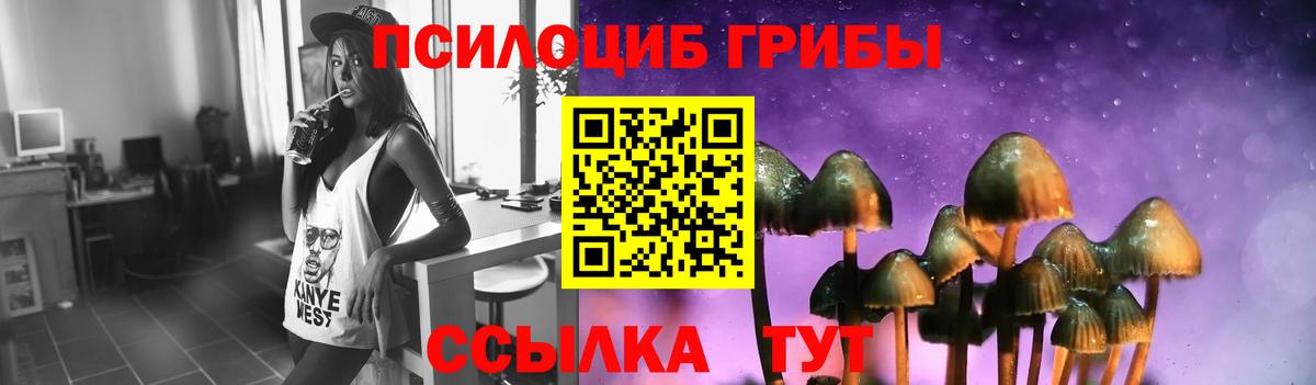 Галлюциногенные грибы MAGIC MUSHROOMS Северобайкальск